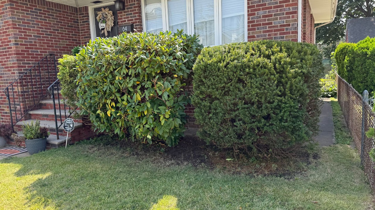 Hedge and edge trimming detail